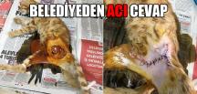 BELEDİYEDEN ACI CEVAP