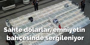 Esenyurt’ta ele geçirilen sahte dolarlar, emniyetin bahçesinde sergileniyor