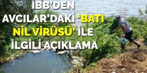 İBB’den Avcılar’daki ‘Batı Nil Virüsü’ ile ilgili açıklama