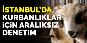 İstanbul’da anadolu’dan getirilen kurbanlıklar için aralıksız denetim