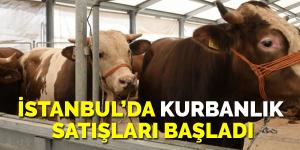 İstanbul’da kurbanlık satışları başladı