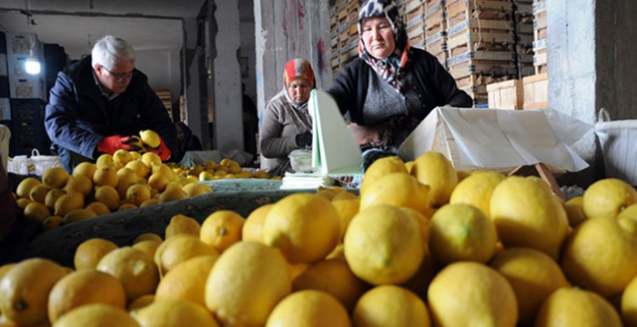 İstanbul’da zam şampiyonu yüzde 26 ile ‘limon’