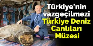 Türkiye’nin vazgeçilmezi Türkiye Deniz Canlıları Müzesi