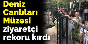 Türkiye Deniz Canlıları Müzesi ziyaretçi rekoru kırdı