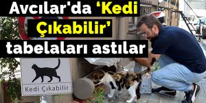 Avcılar’da sürücüler için ‘Kedi Çıkabilir’ tabelaları astılar