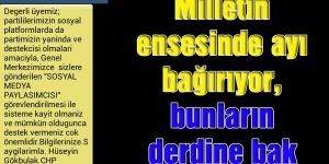 Milletin ensesinde ayı bağırıyor bunların derdine bak!