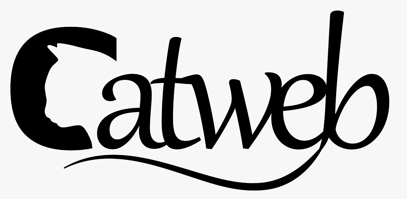 Catweb Reklam Ajansı İngiltere’den Sonra Artık Türkiye’de
