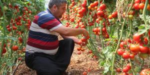 Mersin’in Erdemli Belediyesi’nden Örnek Proje