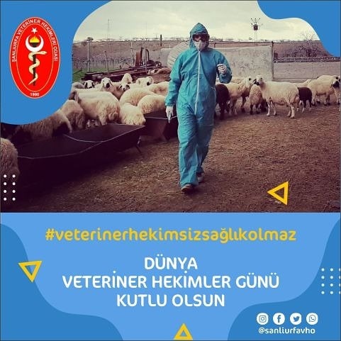 Şanlıurfa Veteriner Hekimleri Odası Başkanı Abdullah Açıkgöz `den Dünya Veteriner Hekimler Günü Mesajı