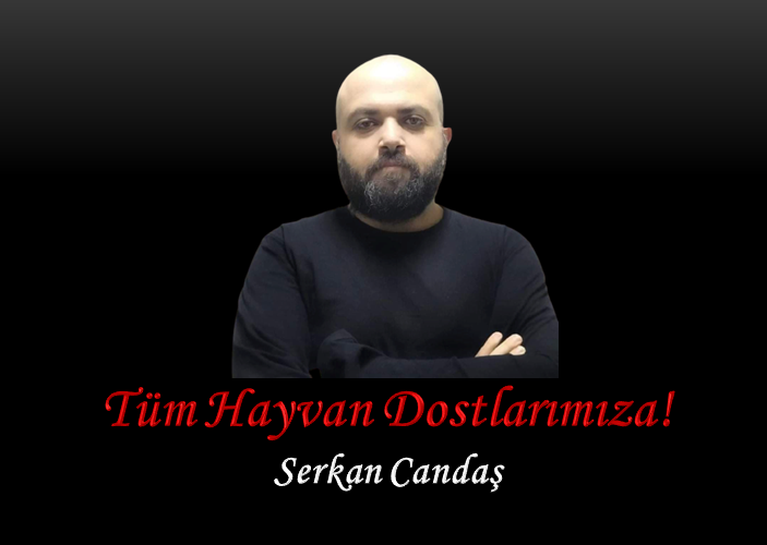 Tüm Hayvan Dostlarımıza!