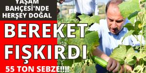 BEYLİKDÜZÜ’NDE BEREKET FIŞKIRDI