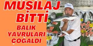 BALIKÇI KENAN: MÜSİLAJ BİTTİ, YAVRU BALIKLAR ÇOĞALDI