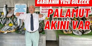 PALAMUTTA BOLLUK BEKLENİYOR