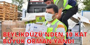 ÇALIK: ORMANLARIMIZI YENİDEN YEŞERTECEĞİZ