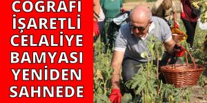 İLAÇSIZ SEBZENİN YOLU KENT TARIMINDAN GEÇER