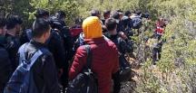 İzmir’de Kaçak Göçmenler Yakalandı, 446 Kişi…