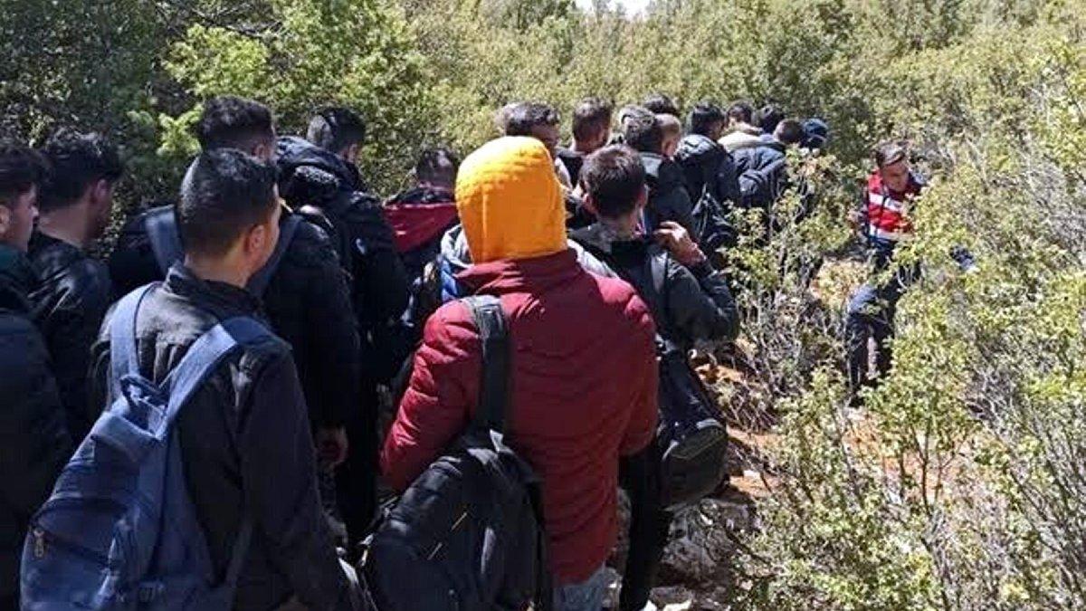 İzmir’de Kaçak Göçmenler Yakalandı, 446 Kişi…