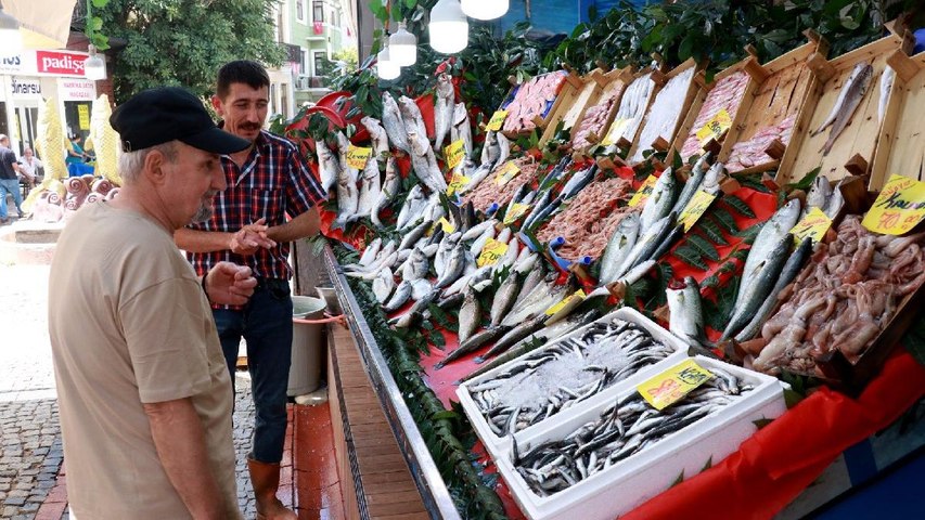 En sonunda deniz bitti, avlanan balık miktarı 600 bin tondan 300 bin tona düştü!