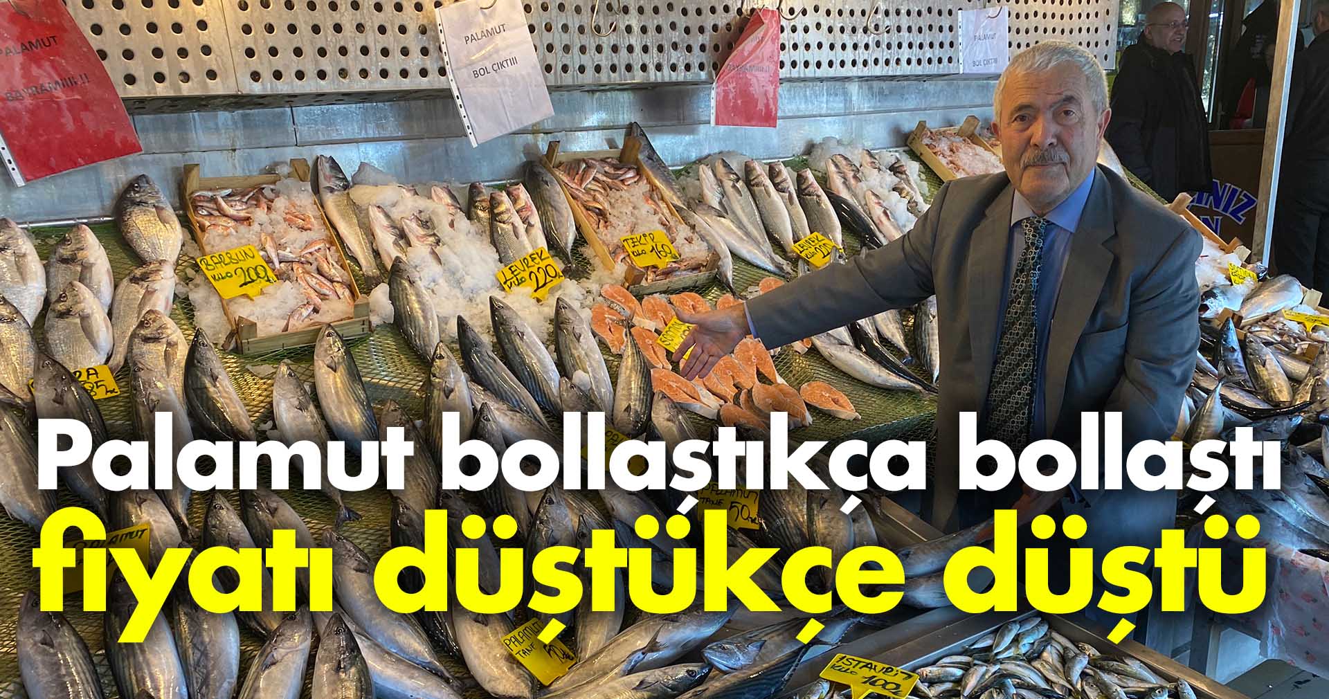 Palamut bollaştıkça bollaştı fiyatı düştükçe düştü