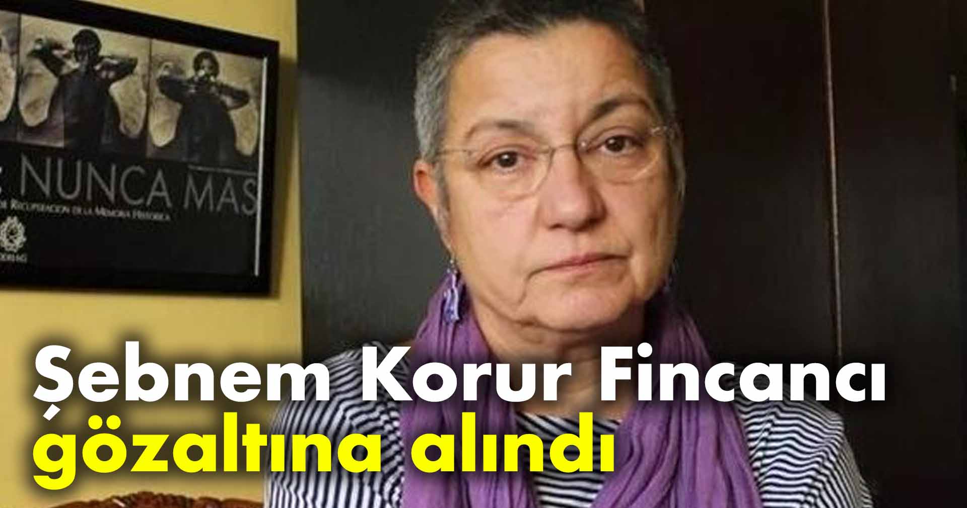 Türk Tabipleri Birliği Başkanı Şebnem Korur Fincancı gözaltına alındı