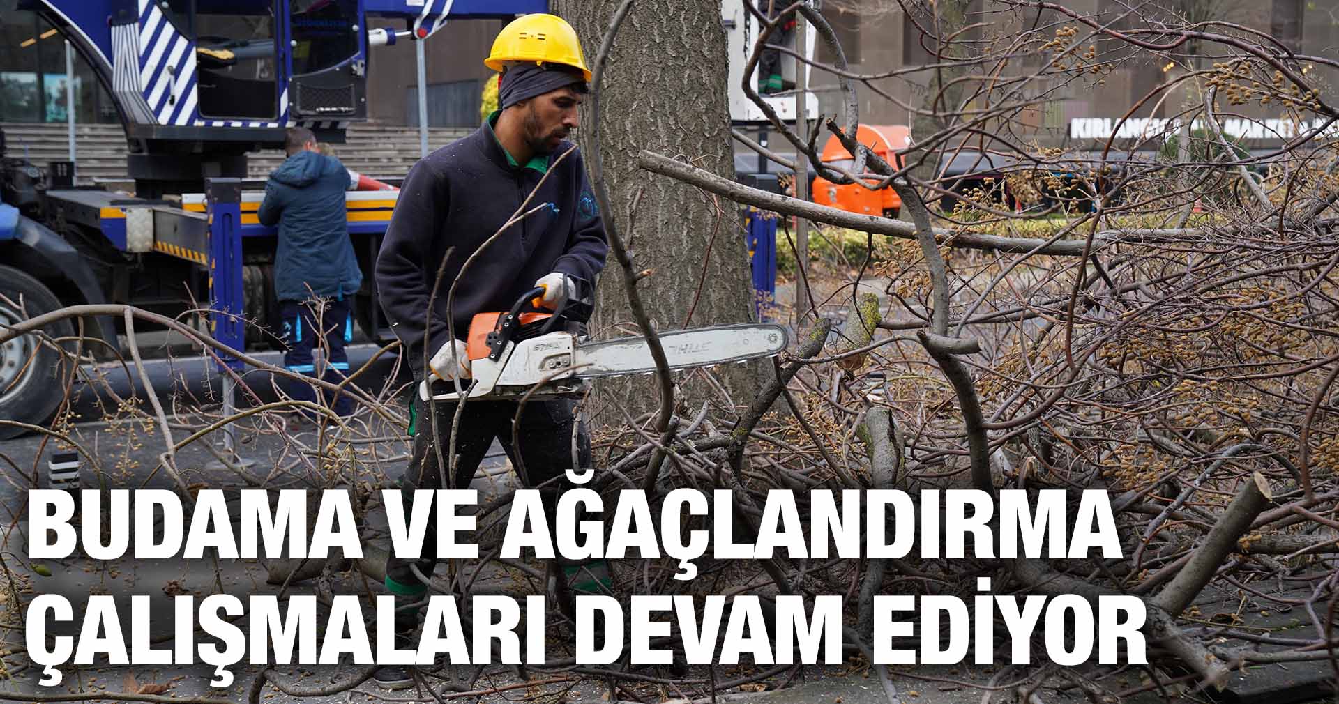 BUDAMA VE AĞAÇLANDIRMA ÇALIŞMALARI DEVAM EDİYOR