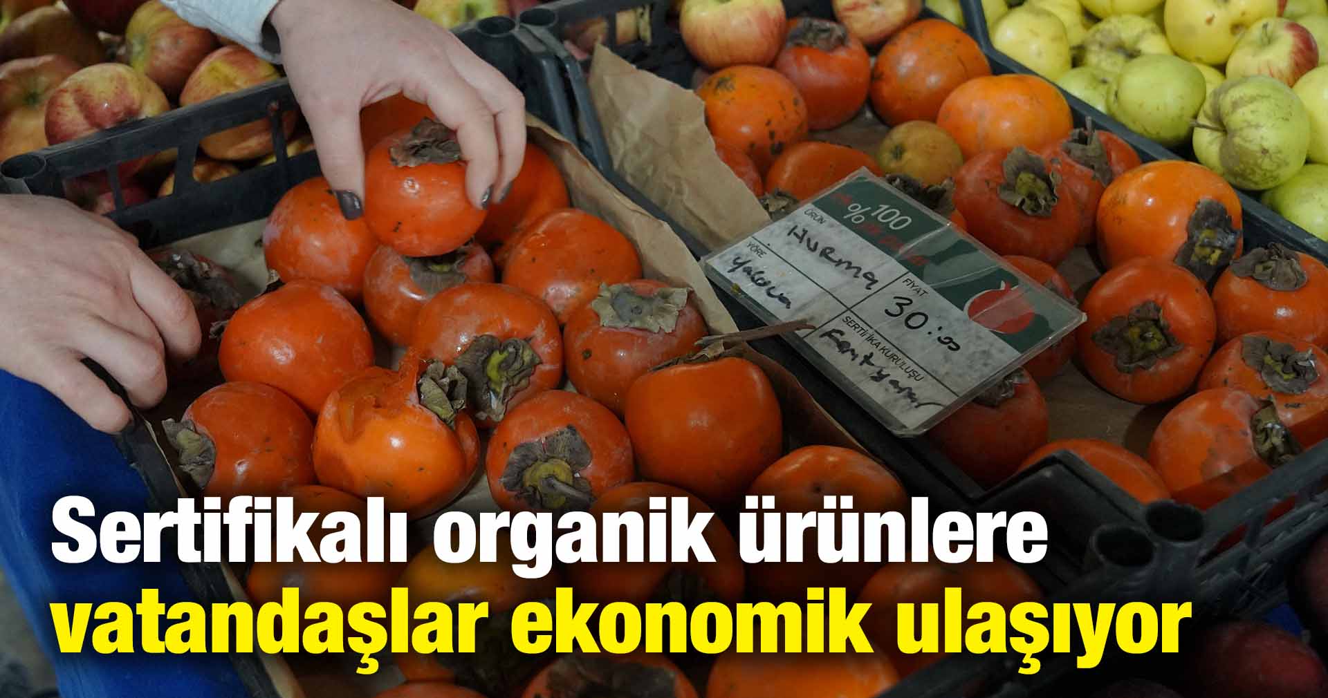 Sertifikalı organik ürünlere vatandaşlar ekonomik ulaşıyor