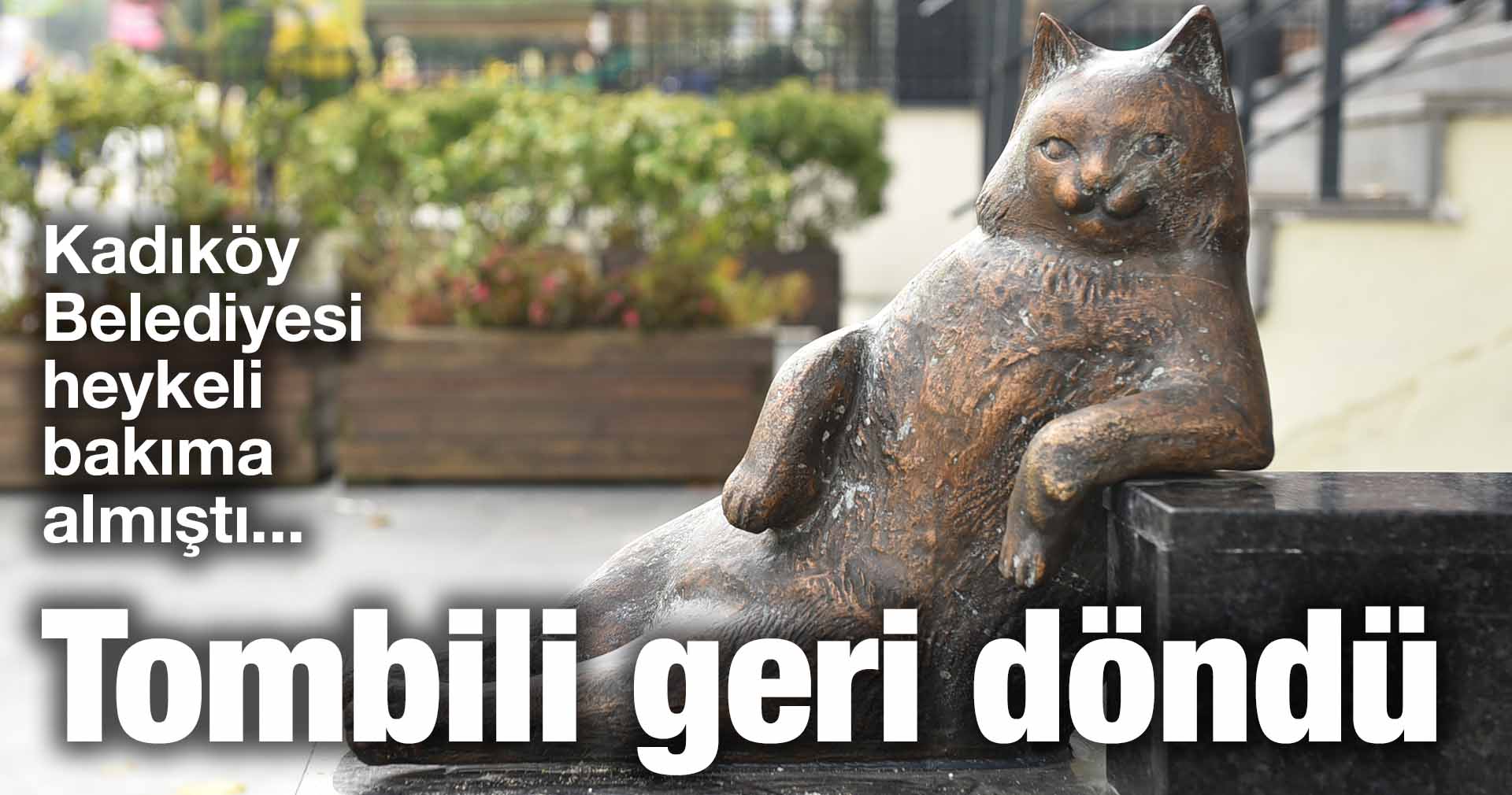 Kadıköy Belediyesi heykeli bakıma almıştı… Tombili geri döndü