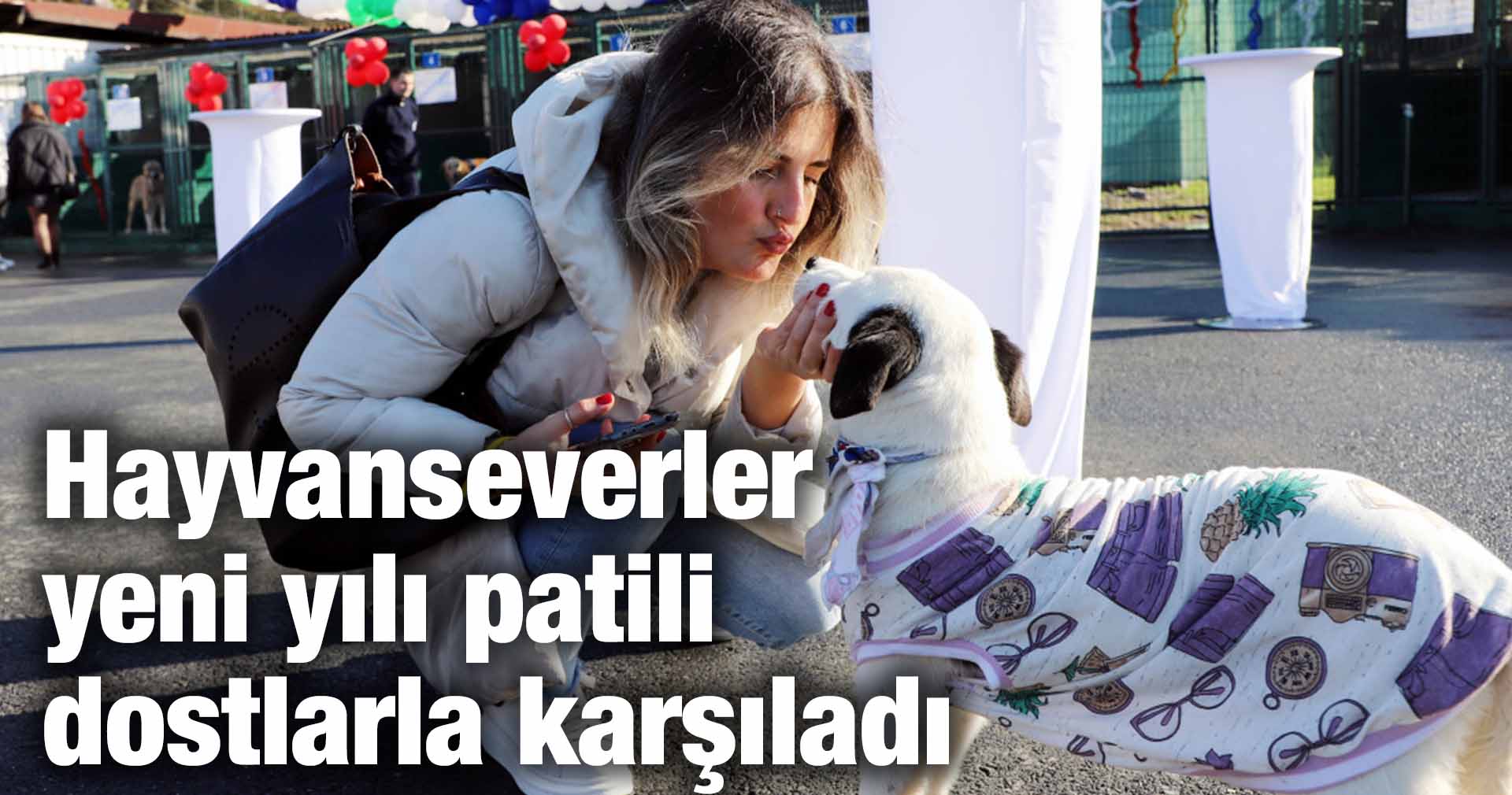 Hayvanseverler yeni yılı patili dostlarla karşıladı