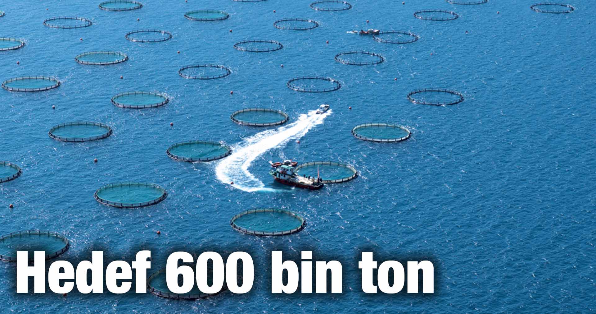 Su Ürünleri Yetişiriciliğinde 100. Yıl Hedefi : 600 bin ton