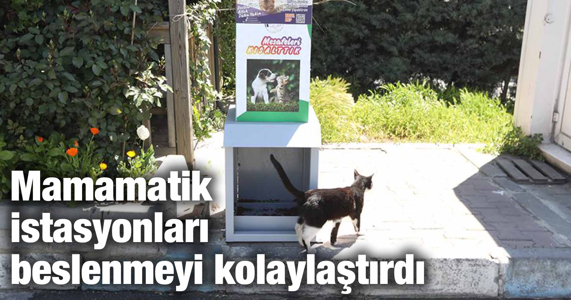 Mamamatik istasyonları beslenmeyi kolaylaştırdı