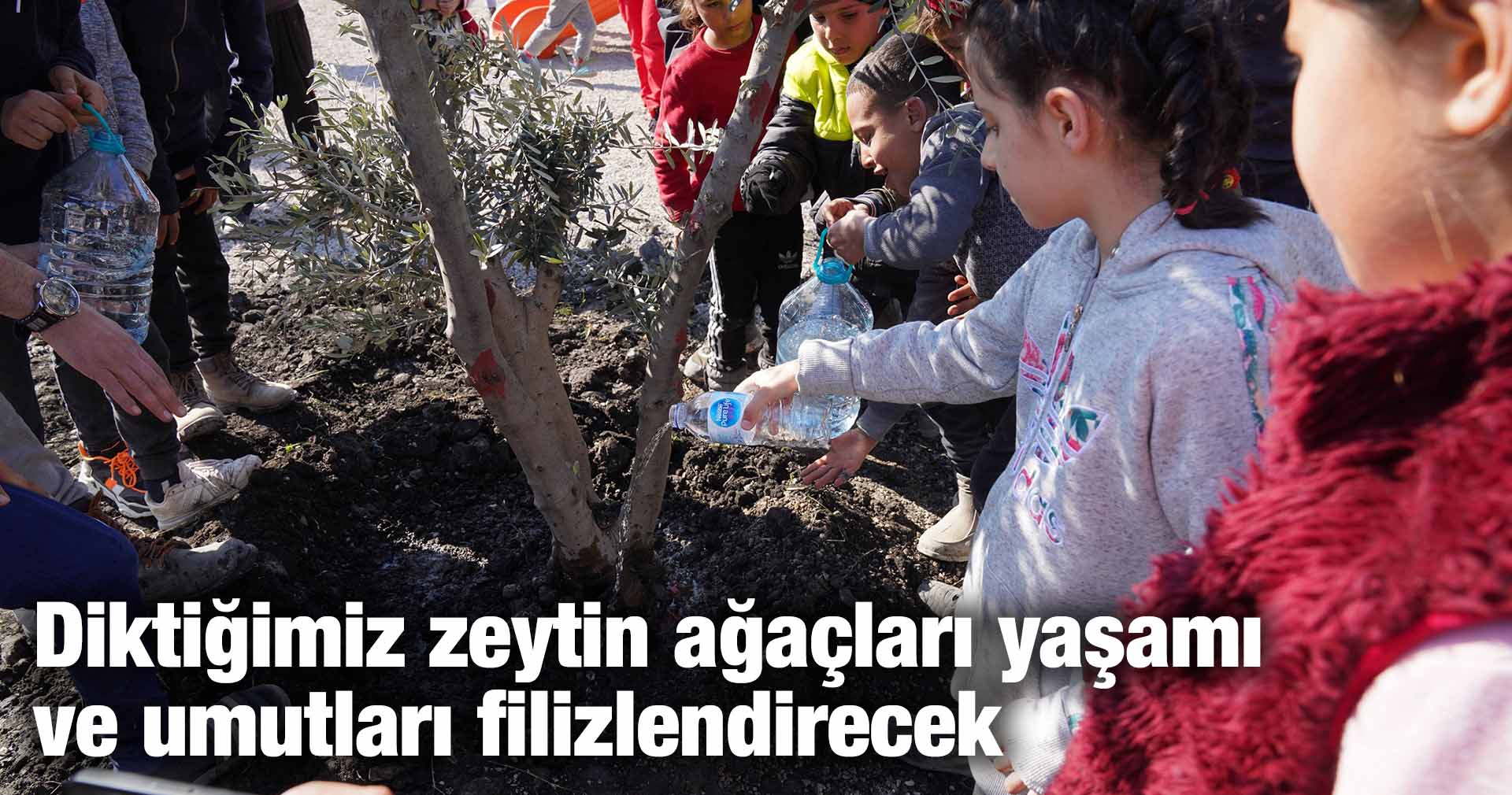 Çalık: Diktiğimiz zeytin ağaçları yaşamı ve umutları filizlendirecek