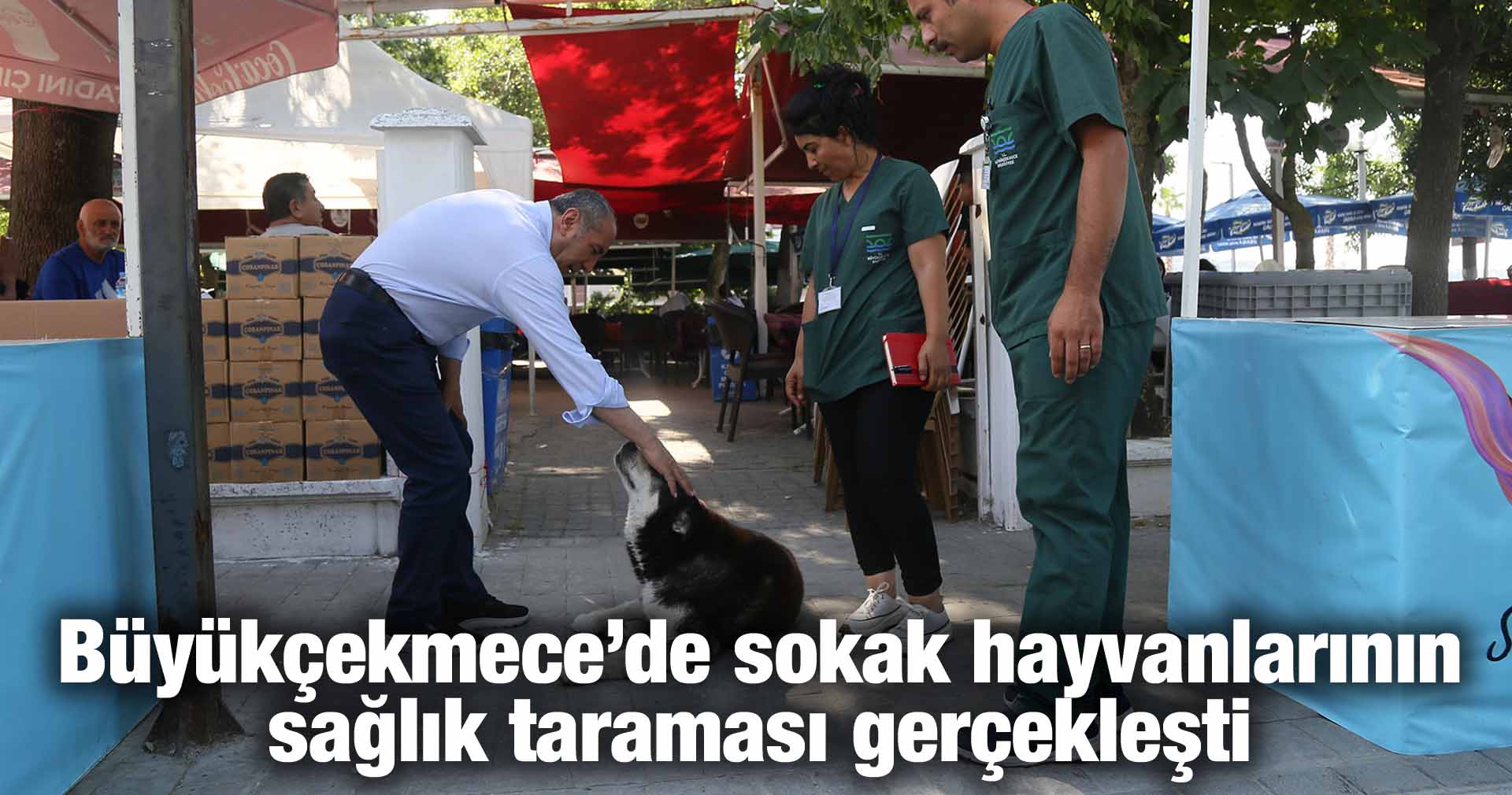 Büyükçekmece’de sokak hayvanlarının sağlık taraması gerçekleşti