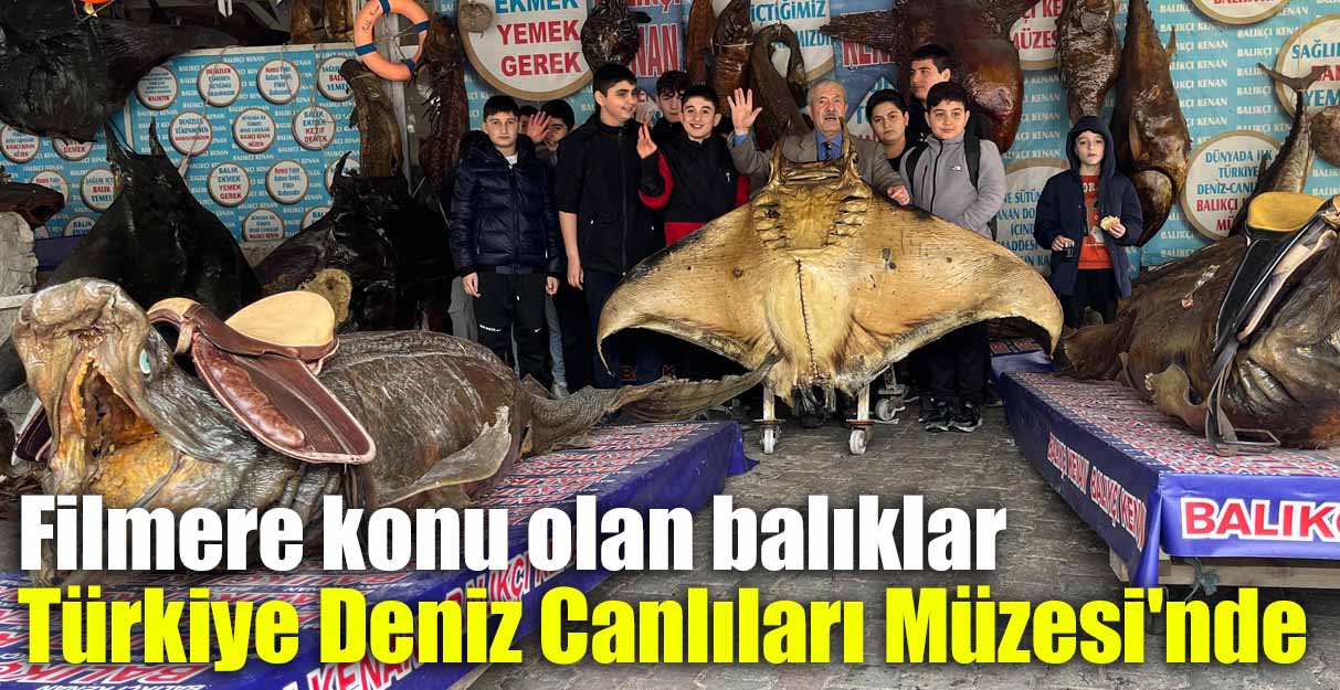 Filmere konu olan balıklar Türkiye Deniz Canlıları Müzesi’nde