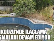 BEYLİKDÜZÜ’NDE İLAÇLAMA ÇALIŞMALARI HIZ KESMEDEN DEVAM EDİYOR