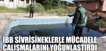 İBB SİVRİSİNEKLERLE MÜCADELE ÇALIŞMALARINI YOĞUNLAŞTIRDI