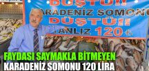 FAYDASI SAYMAKLA BİTMEYEN KARADENİZ SOMONU 120 LİRADAN SATILIYOR