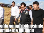 Balcıoğlu yangın bölgesinde incelemelerde bulundu