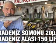 KARADENİZ SOMONU 200, KARADENİZ ALASI 150 LİRA