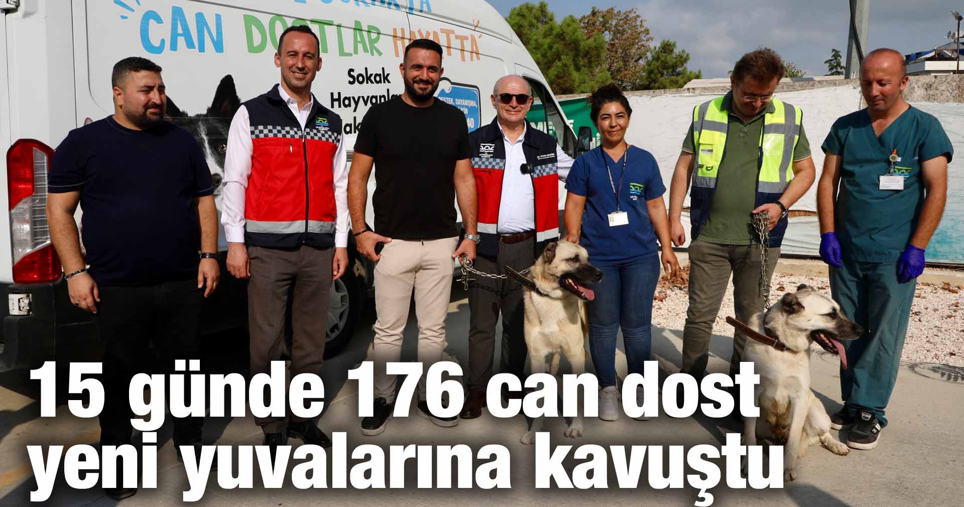 15 günde 176 can dost yeni yuvalarına kavuştu