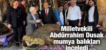 Milletvekili Abdürrahim Dusak mumya balıkları inceledi