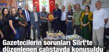 Gazetecilerin sorunları Siirt’te düzenlenen çalıştayda konuşuldu