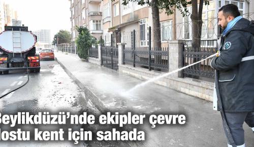 Beylikdüzü’nde ekipler çevre dostu kent için sahada