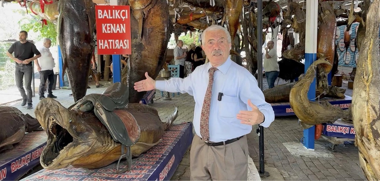 MUMYA BALIKLAR ARASINDA SIRA DIŞI YOLCULUK