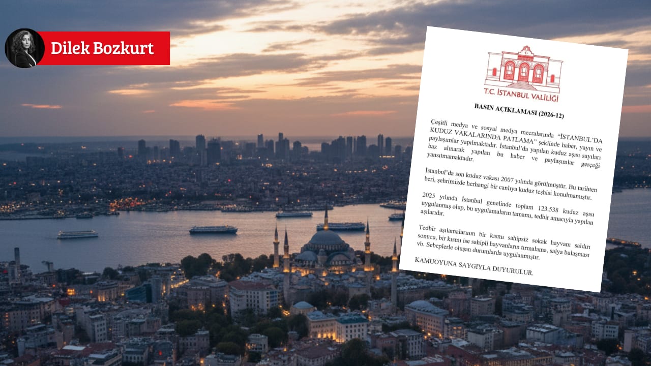 İstanbul Valiliği’nden “Kuduz Patlaması” İddialarına Yanıt: “2007’den Beri Vaka Görülmedi”