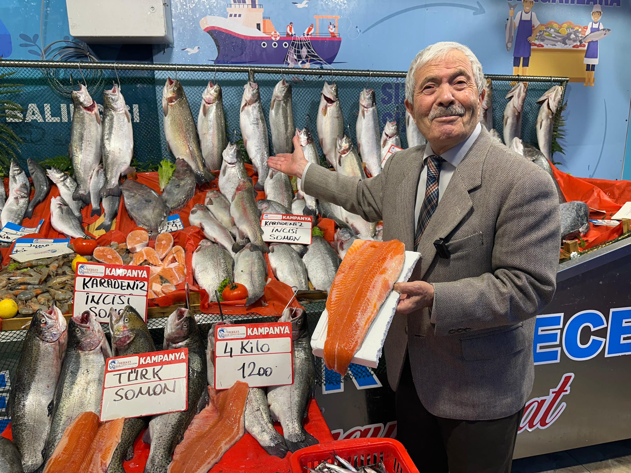 HAMSİ AKIN YAPTI… DOLAPLARI DOLDURUN     DENİZ BEREKETİ TEZGAHLARA YANSIDI: HAMSİ FİYATLARI DİBE İNDİ